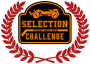 SelectionChallenge-Variable.png